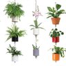 SkyPots