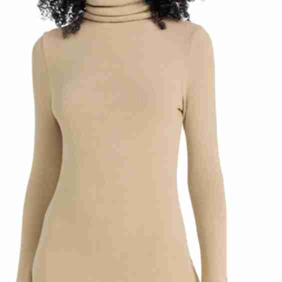 Knit Turtleneck Tunic Mini Dress