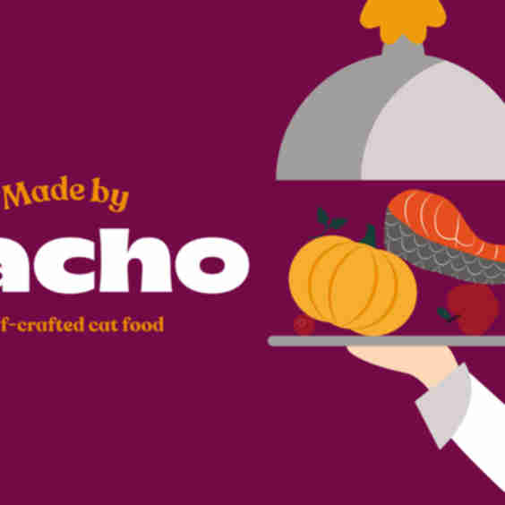 Made by Nacho Gift Card
