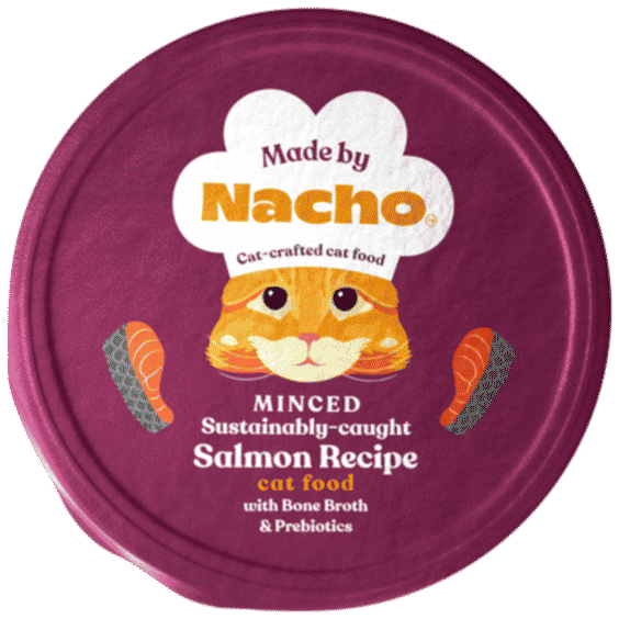 Minced Salmon in Bone Broth