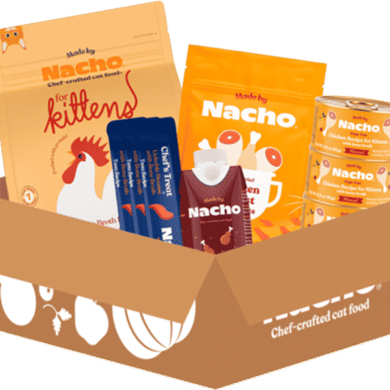 Made by Nacho Kitten Starter Kit