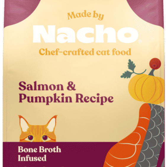Bone Broth Infused Kibble Sustainably Caught Salmon & Pumpkin Recipe