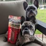 Petmate