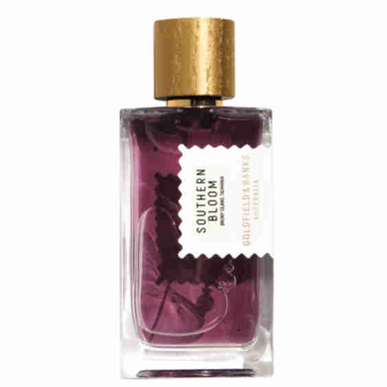 Southern Bloom Perfume