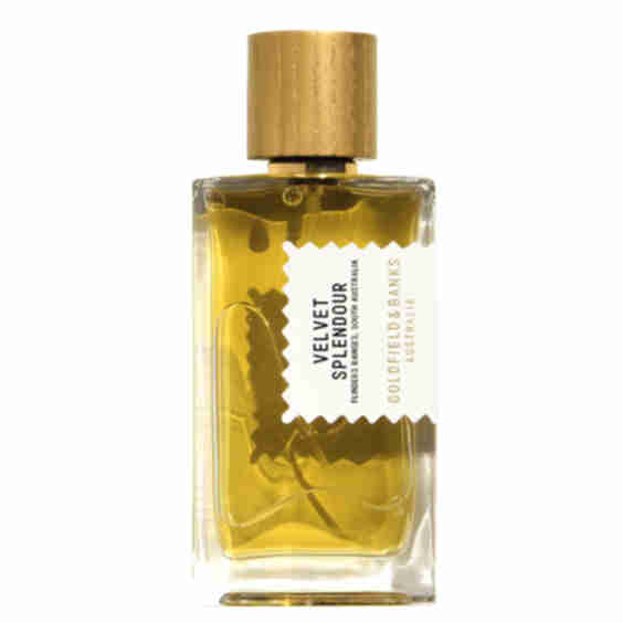 Velvet Splendour Perfume