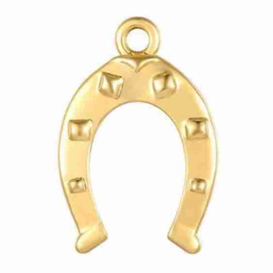 Horseshoe Charm
