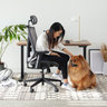 RISEDESK