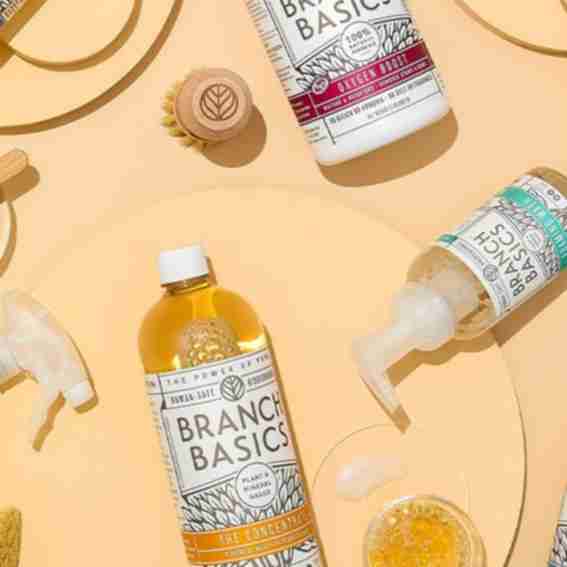 Branch Basics Reviews