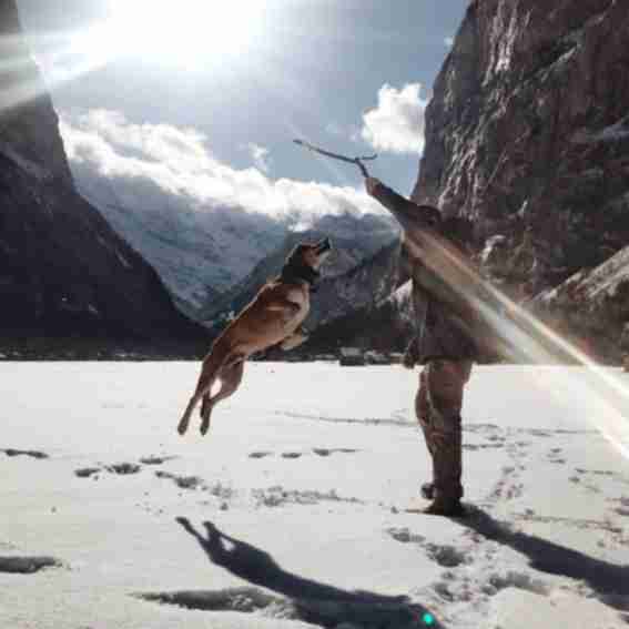 DOGPAK Reviews