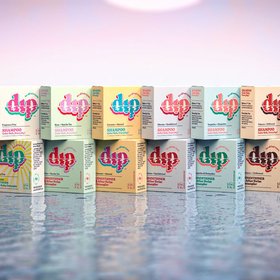 Dip