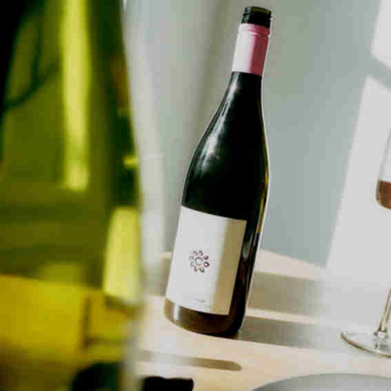 Good Weather Wine Reviews