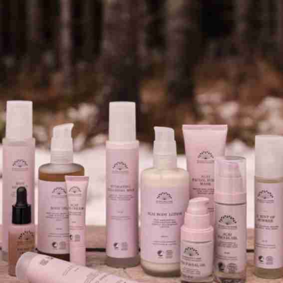 Rudolph Care Reviews
