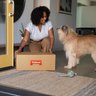 Tailored Pet