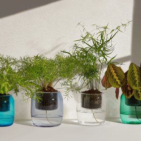 Hydropod