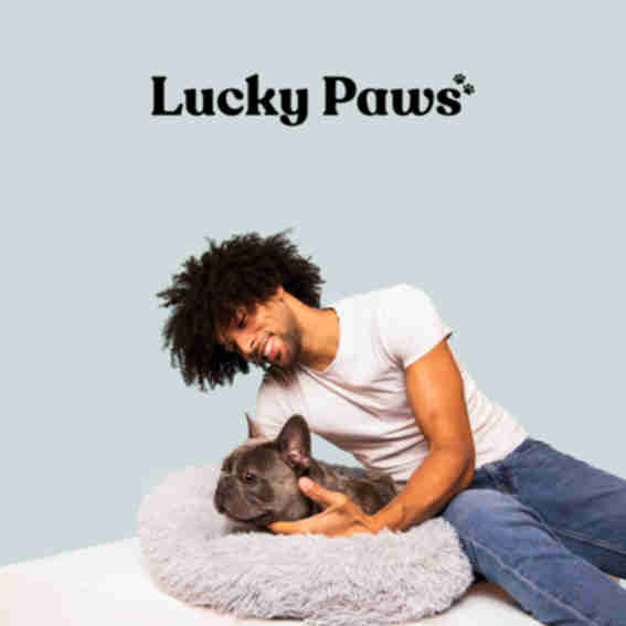 Lucky Paws Reviews