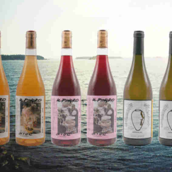 Super Natural Wine Collective Reviews