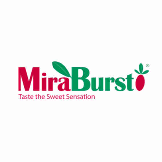 MiraBurst Reviews