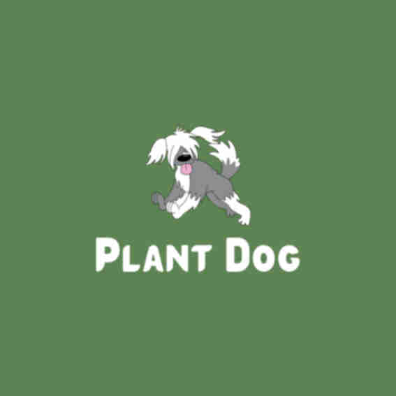 Plant Dog  Reviews