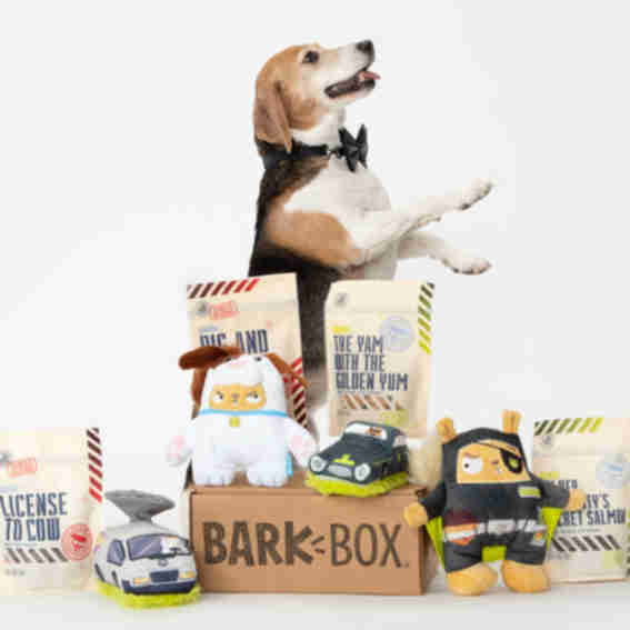 Barkbox Reviews