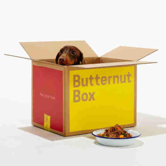 Butternut Box Reviews