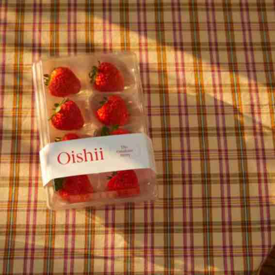 Oishii Reviews