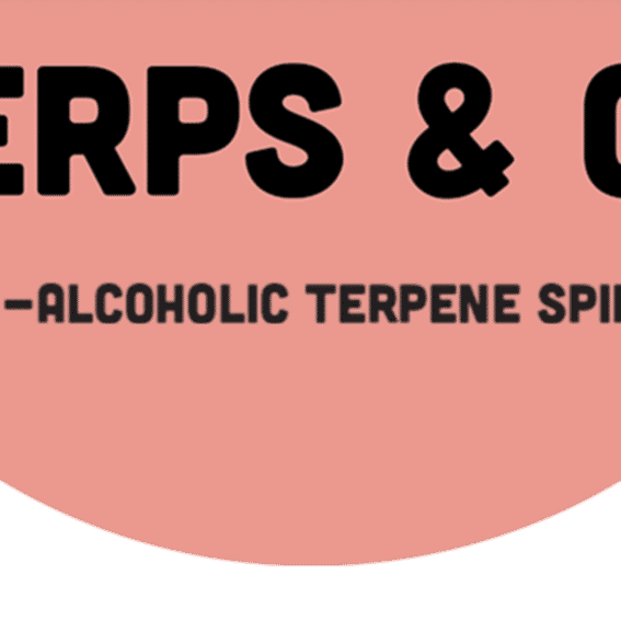 Terps Reviews