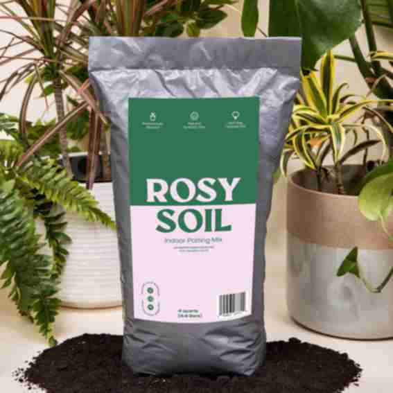 Rosy Soil Reviews