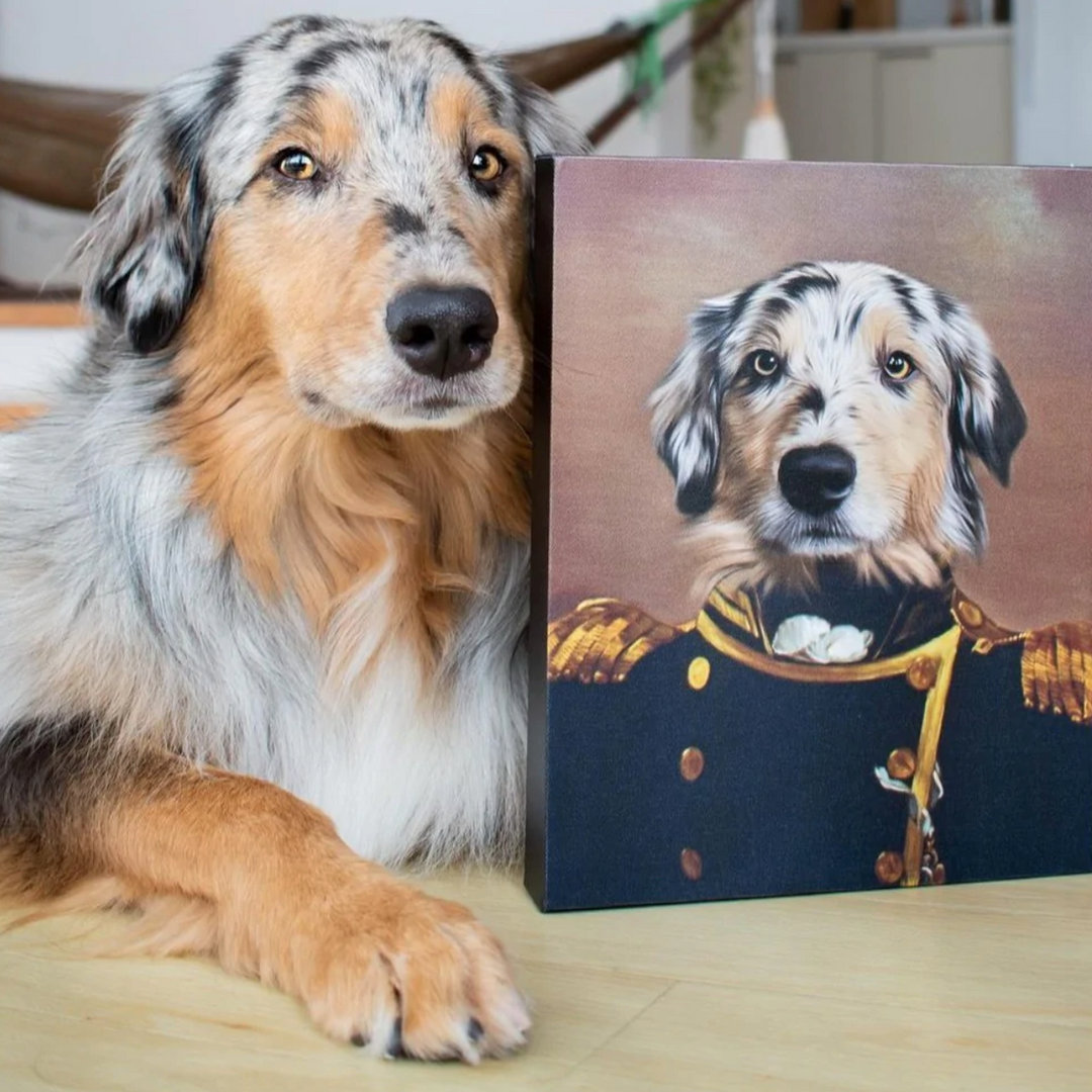 Crown & Paw Reviews 2024 Read Before You Buy Thingtesting