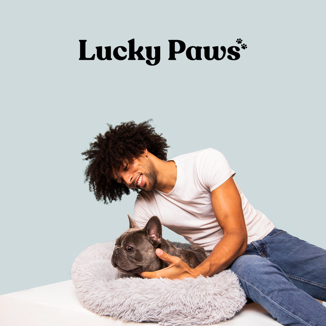 Lucky Paws - The Best Orthopedic Pet Beds