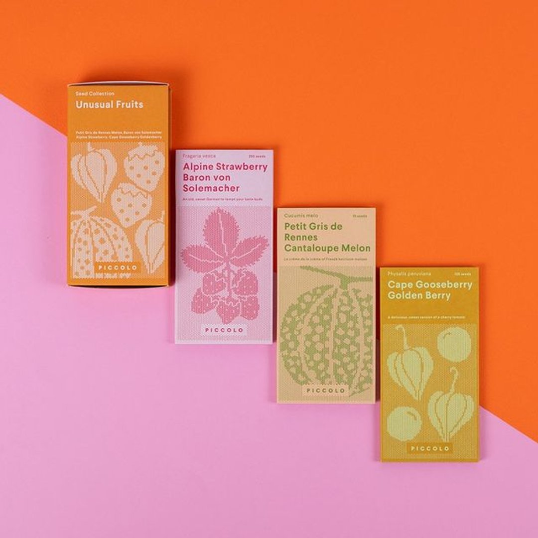 Piccolo Reviews 2024 Read Before You Buy Thingtesting