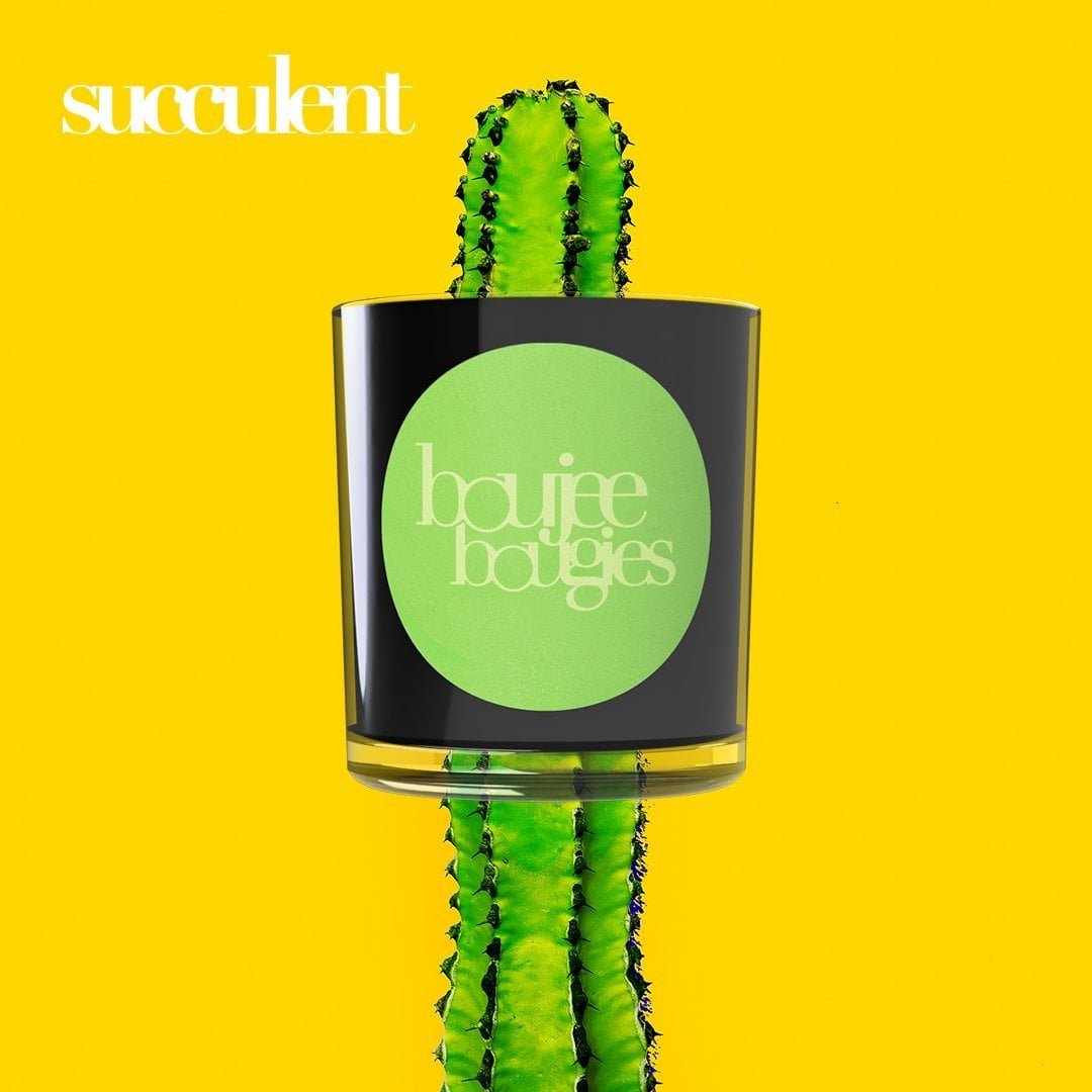 Boujee Bougies Reviews 2024 Read Before You Buy Thingtesting