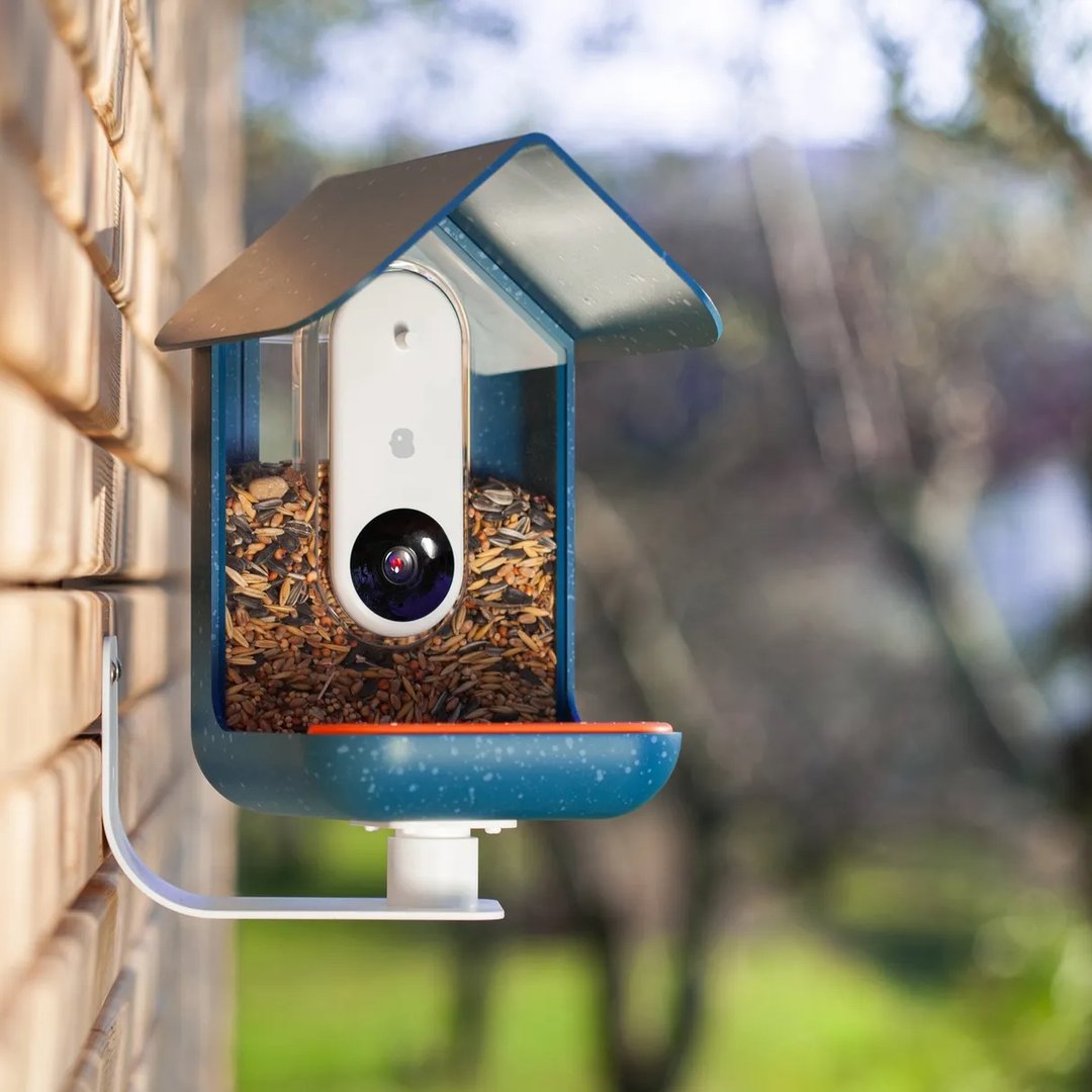 best smart bird feeder