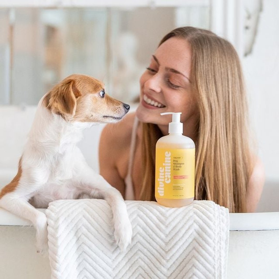 Divine Canine Reviews 2024 Read Before You Buy Thingtesting