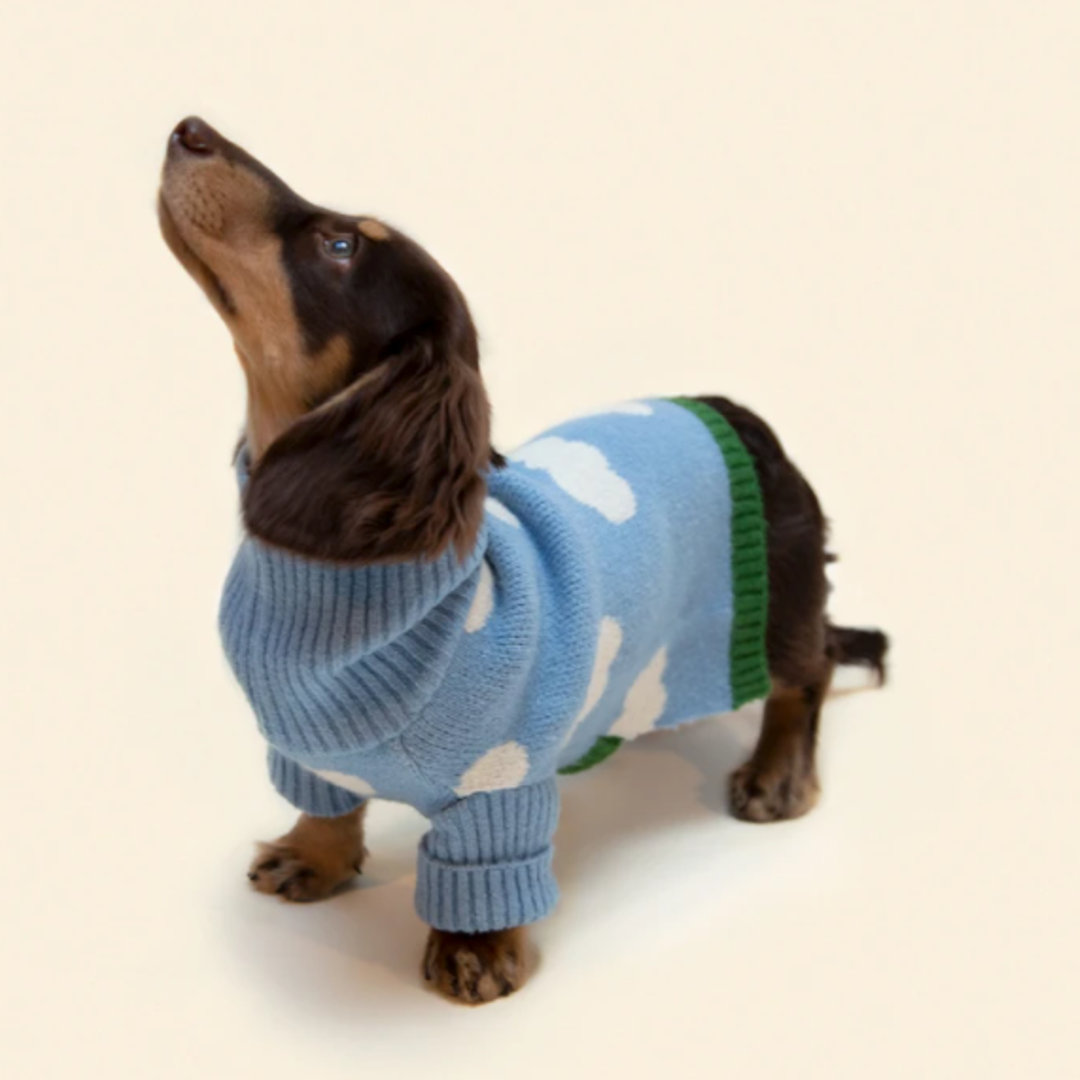 little beast dog clothing