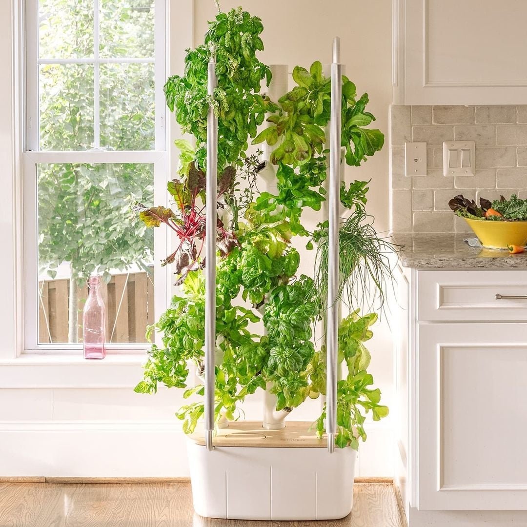 Gardyn Reviews 2024 Read Before You Buy Thingtesting