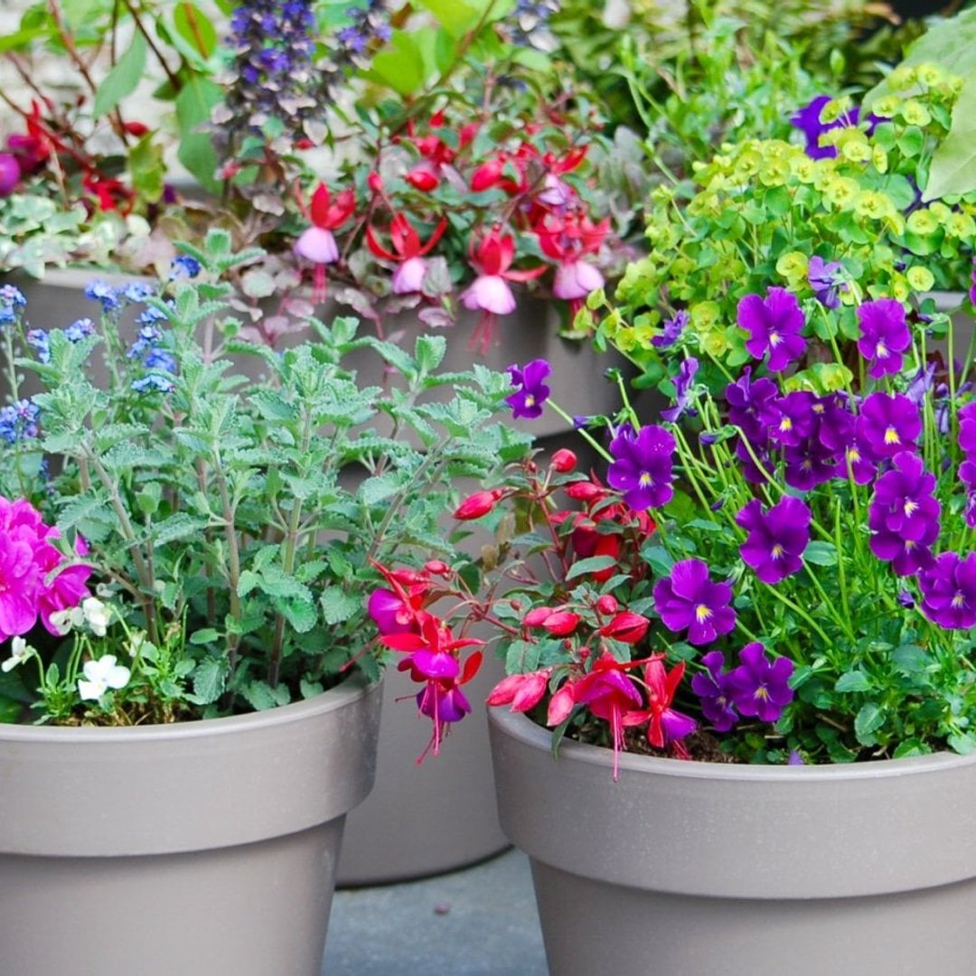 Muddy Trowel Reviews 2024 Read Before You Buy Thingtesting