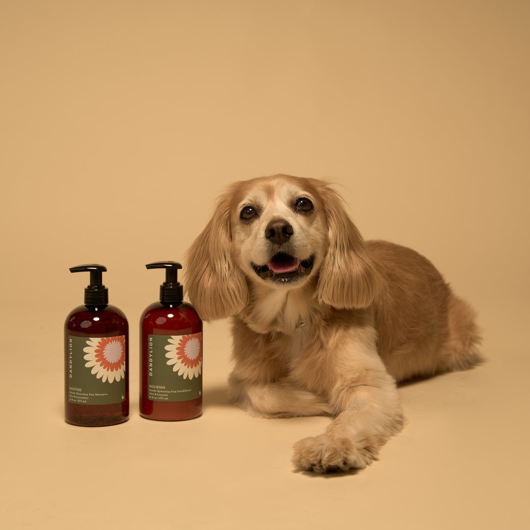 Grooming glow up: Pet brands are jumping on the clean beauty bandwagon