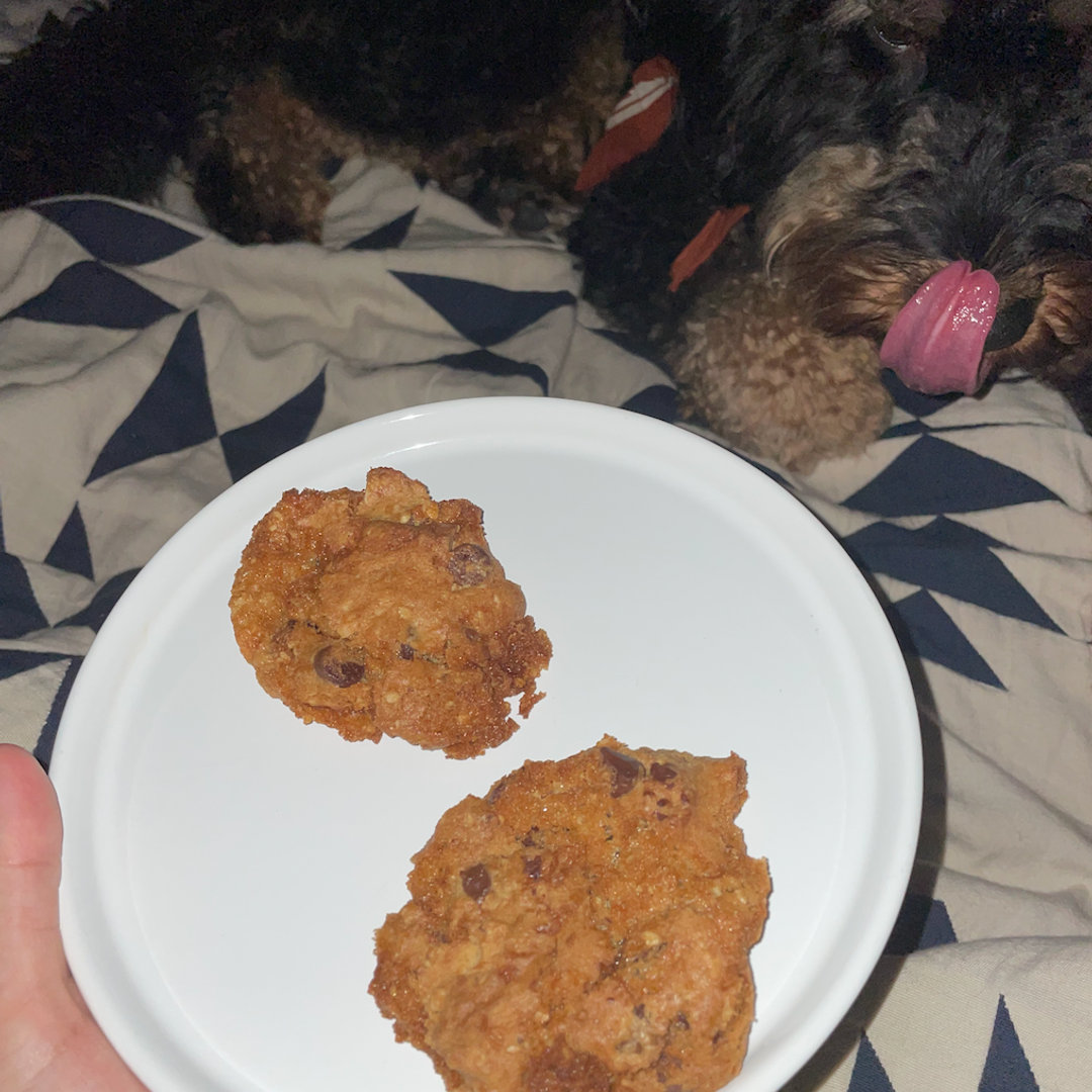 Home Dough review by Andrea F Thingtesting