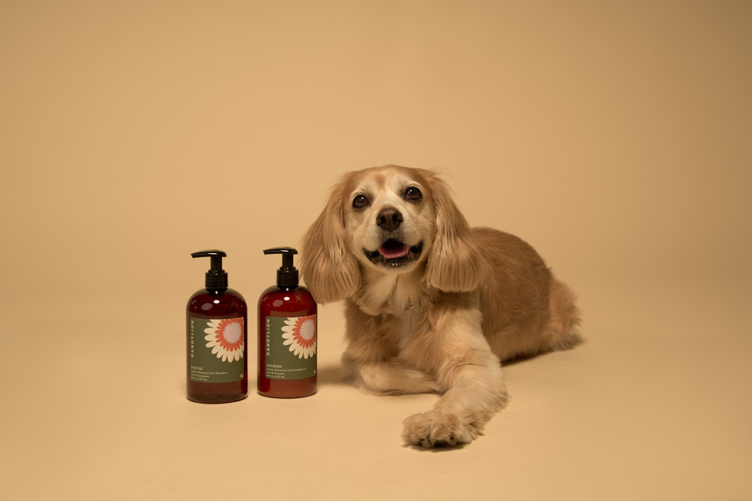 Pet hotsell grooming brands