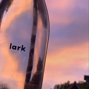 Nicollette M's review of lark