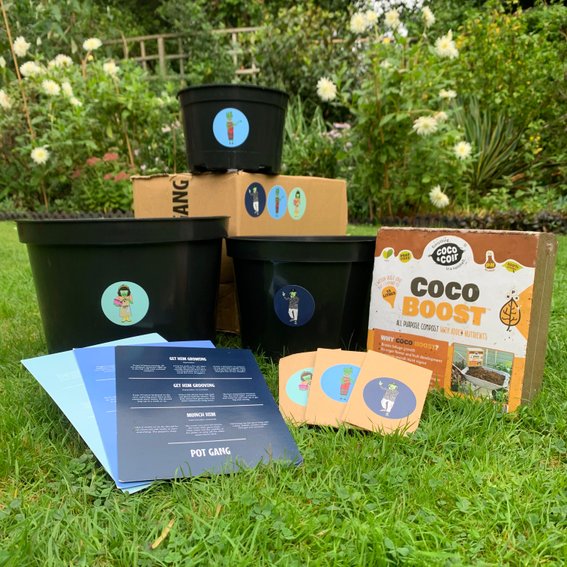 POT GANG Reviews 2024 Read Before You Buy Thingtesting