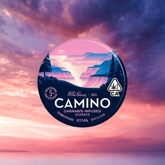 Kiva Reviews 2024 Read Before You Buy Thingtesting