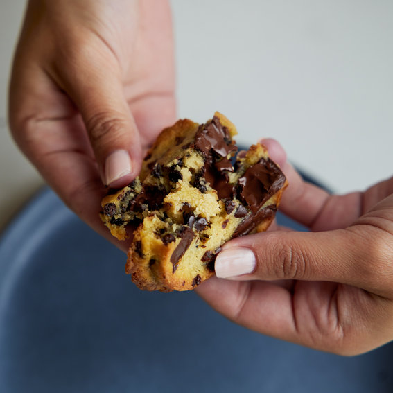 The Dough Co. Reviews 2024 Read Before You Buy Thingtesting