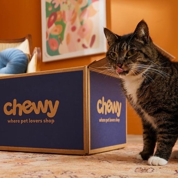 Similar brands to Chewy Thingtesting