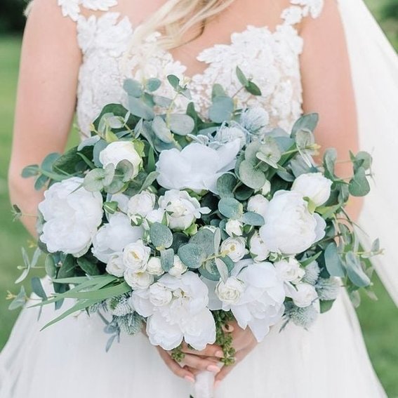 Something Borrowed Blooms Reviews 2024 Read Before You Buy Thingtesting