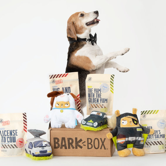 Barkbox similar on sale