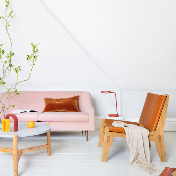 Feather Reviews 2024 Read Before You Buy Thingtesting