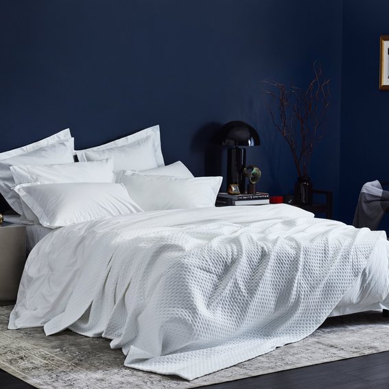 Snowe Reviews 2024 Read Before You Buy Thingtesting