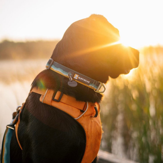 Ruffwear Reviews 2024 Read Before You Buy Thingtesting