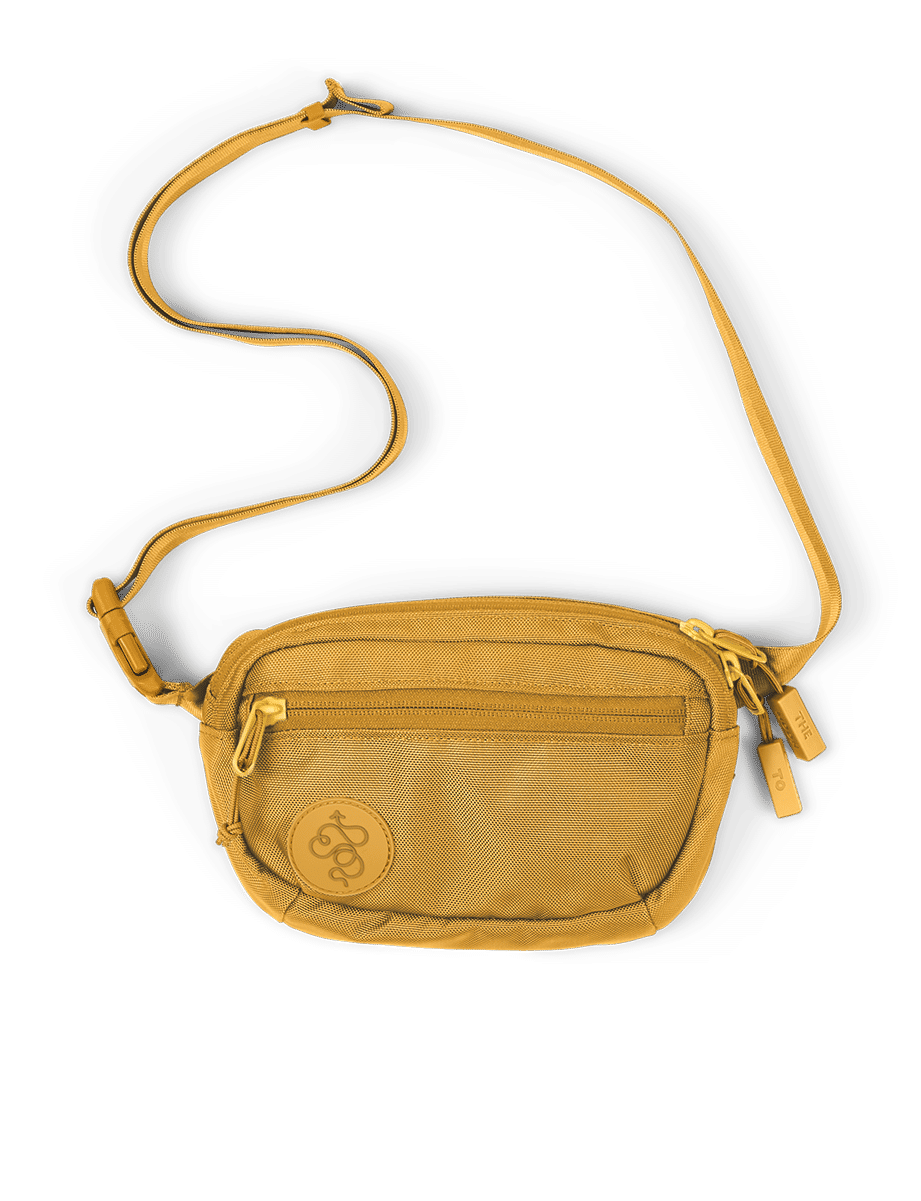 Fannypack Mini